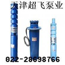 天津潛水電機(jī)，天津潛水泵