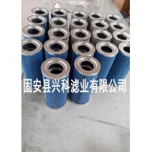 350×900除塵濾芯濾筒供應商[興科]