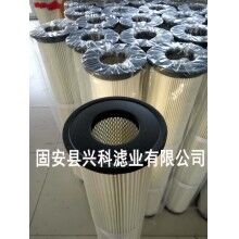 質(zhì)量強悍噴涂粉末回收濾芯價格廠家供應(yīng)[興科]